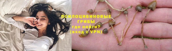 первитин Алексин