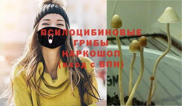 первитин Алексин