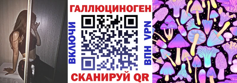 Псилоцибиновые грибы Psilocybine cubensis  Еманжелинск 